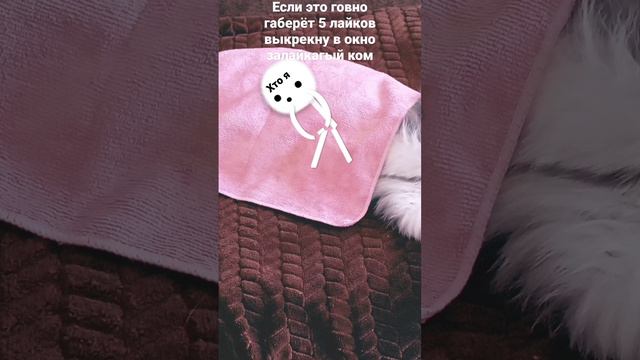 сможете🥺 смотреть онлайн