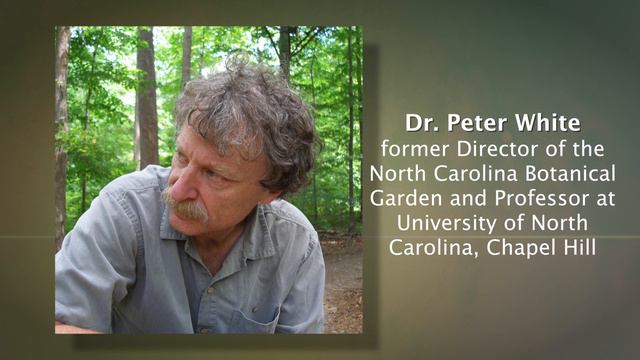 What is the Pritzlaff Conservation Award? смотреть онлайн