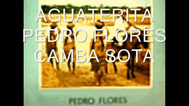 EL CAMBA SOTA -PEDRO FLORES AGUATERITA смотреть онлайн