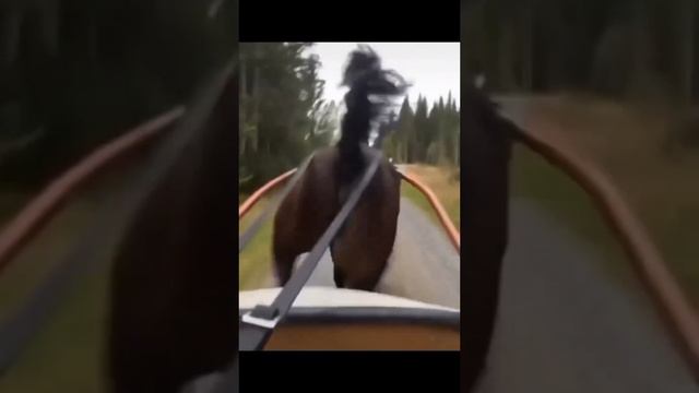 Так и было 😅 смотреть онлайн