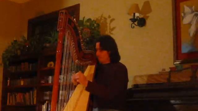 Harpist Nicolas Carter Plays Moliendo Cafe.