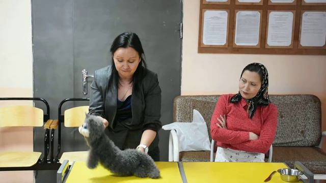 Страшная сказка с неожиданным финалом - арт. Ирина Аввакумова и арт. Светлана Киверская смотреть онлайн