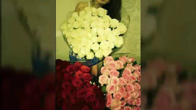 Алиса Кожикина