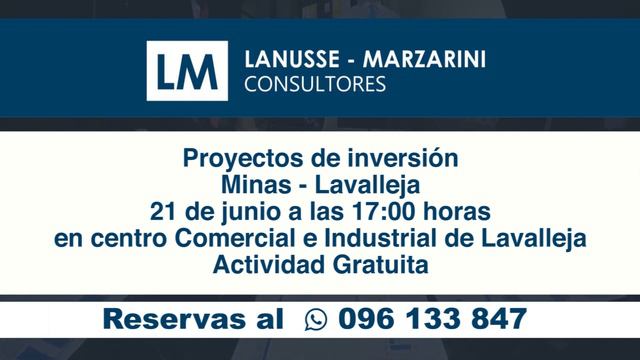 LM LANUSSE MARZARINI CONSULTORES
