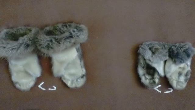 Active and Safe -- Traditional Knowledge (Inuktitut) смотреть онлайн