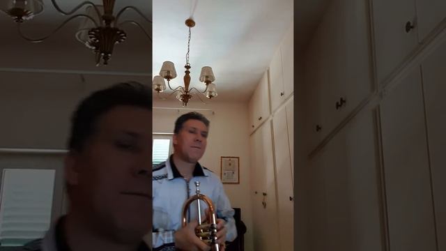 Una lunga storia d'amore(Gino Paoli)-flicorno soprano- Alfonso Raguso смотреть онлайн