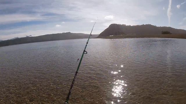 GRUNTER FISHING - TESTING THE WEBER TRAVELER