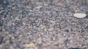 ERNESTO CORTAZAR.--УЕДИНЕНИЕ НА БЕРЕГУ МОРЯ--