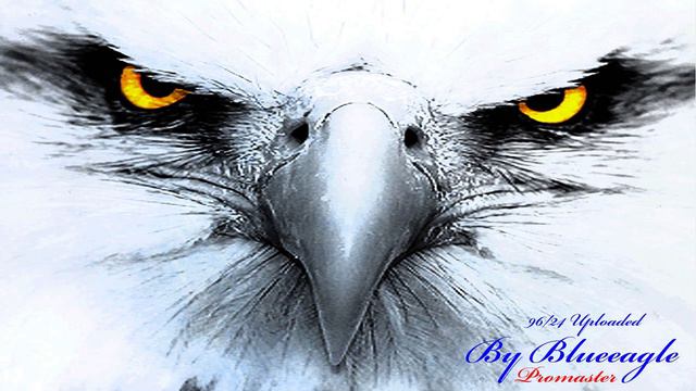 Flashtronica I Can`t Stop (REMIX) Mark Levinson to STUDER смотреть онлайн