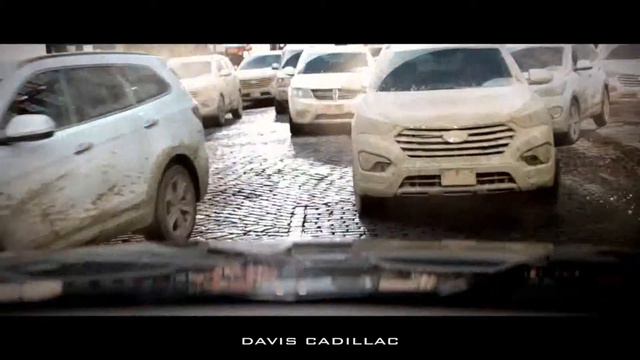 Davis Cadillac | Escalade: The Herd