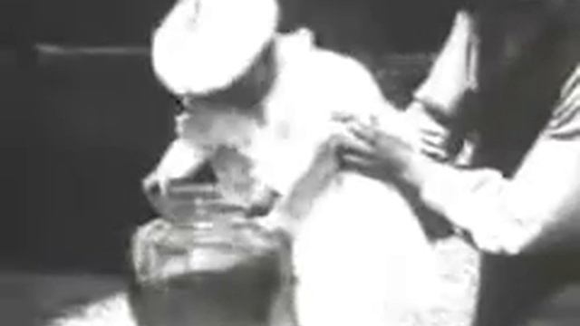 Аквариум 1895. Aquarium 1895.