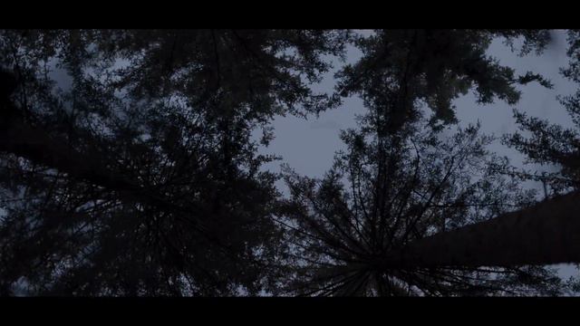 Tobias Mang Feat. Fifty311 - The Storm