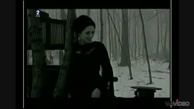 Stevo Zigon смотреть онлайн