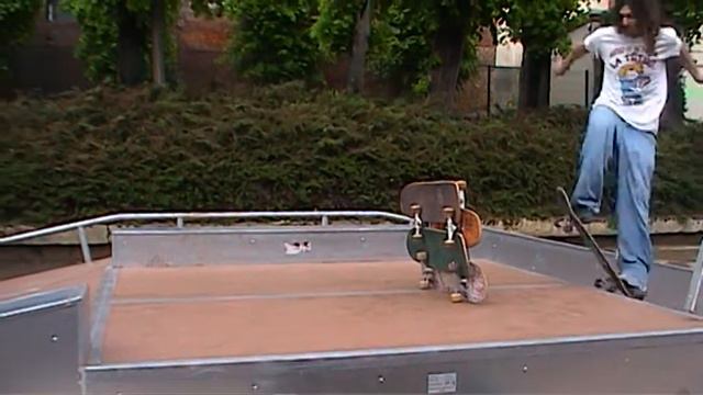 Kamille Ollie Au Dessus De 4 Planche