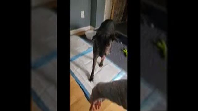 Fannie Lou in Foster 2022 смотреть онлайн