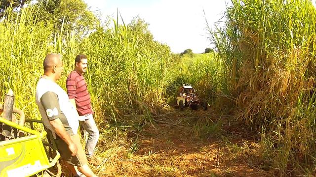 Gaiola Do Felipe Subindo Morro