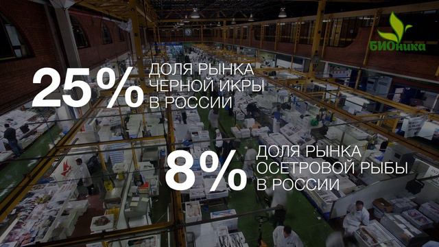 Шарыпов Презентация БИОника 1 смотреть онлайн