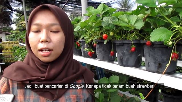 Usahawan Pusat Internet Bedong (3) - Laman Fig Suhanis by Nur Atikah binti Zakaria смотреть онлайн