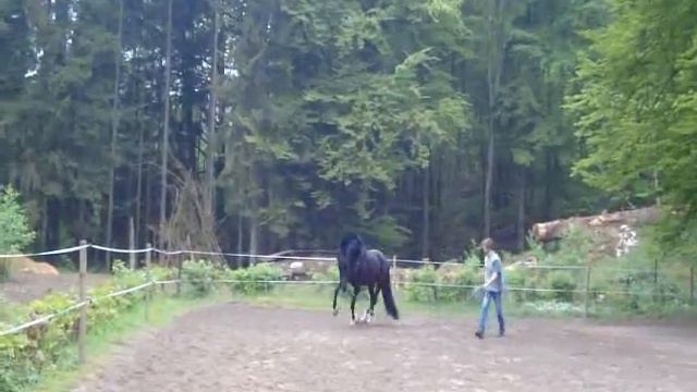 Candido Piste Main Gauche