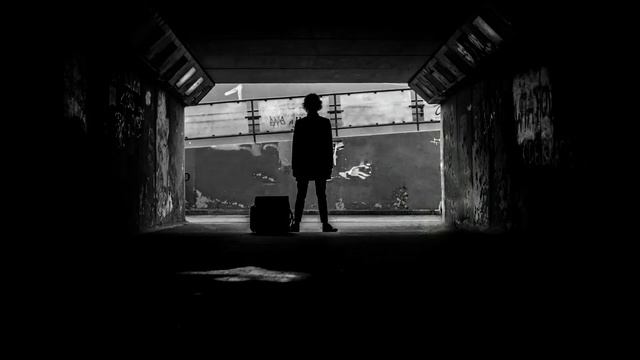 Steve Reich - Piano Phase (Aleksander Stachowski - Accordion)