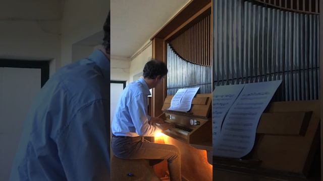 J.S. Bach, Sonate für Violino und Continuo BWV 1021 - Largo (Basso Continuo) смотреть онлайн
