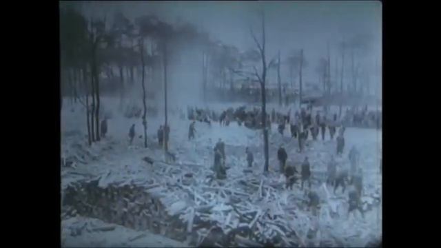 Auschwitz Gas chamber Krema 5 part 2 footage 1945 смотреть онлайн