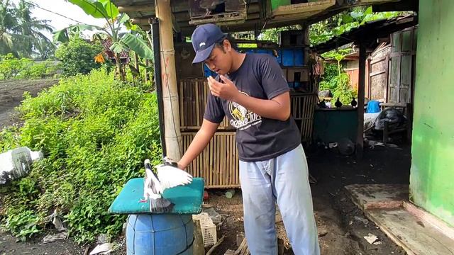 SENENG BANGET!! MERPATIKU MEGAN YANG HILANG SUDAH KEMBALI смотреть онлайн