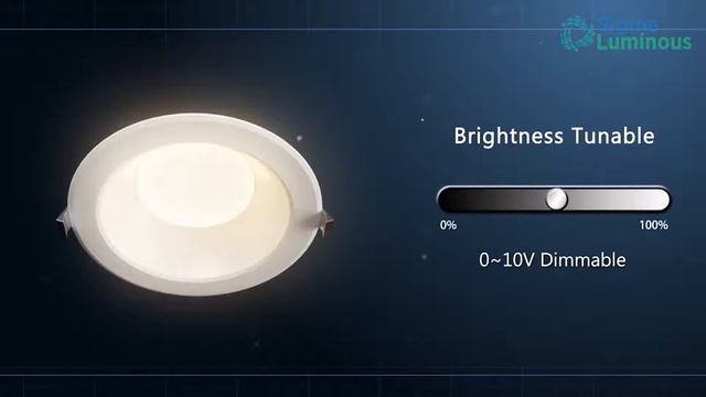 Sigma Luminous RAY 01 LED Down Light смотреть онлайн