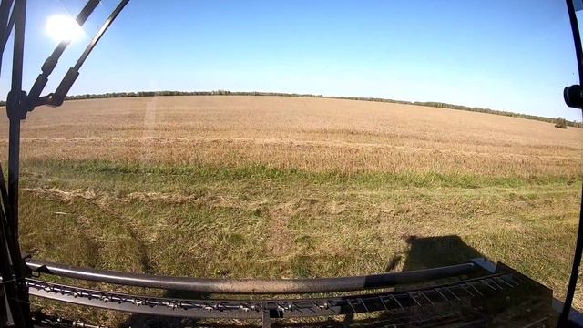 Осенний сенокос, уборка зерновых. смотреть онлайн