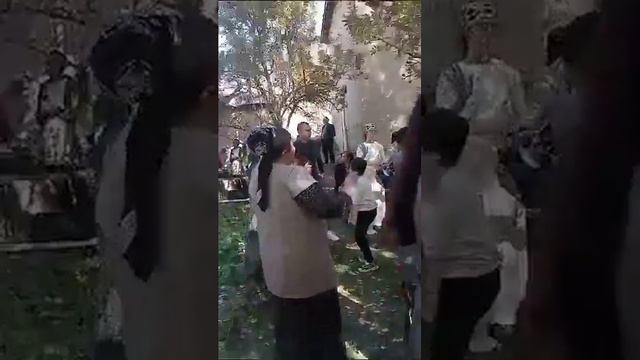 туй смотреть онлайн