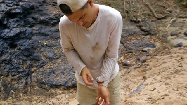 ¡Una escolopendra gigante muerde a Frank! | Wild Frank: En busca del dragón | Animal Planet смотреть онлайн