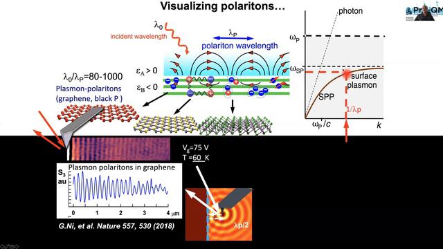 Analog Computational Methods Workshop: Dmitri Basov