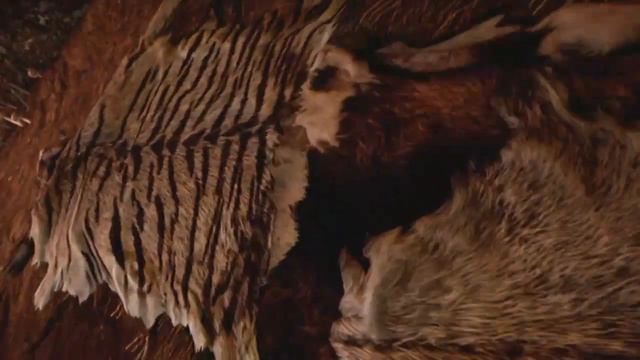 Far Cry Primal Прохождение Часть 2 смотреть онлайн