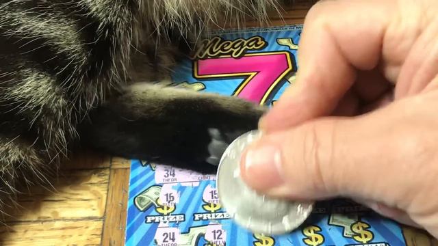 I Got ALL The “M’s” Today!! MEGA 7’s MONOPOLY & MOOCHIE!