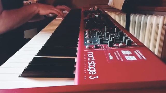 Goldmund - Threnody (performed by Lorenzo Bartolini) смотреть онлайн