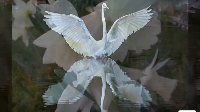 Стихи Людмилы Борисовны. ГОДА... ГОДА... Читает ЭльХан.