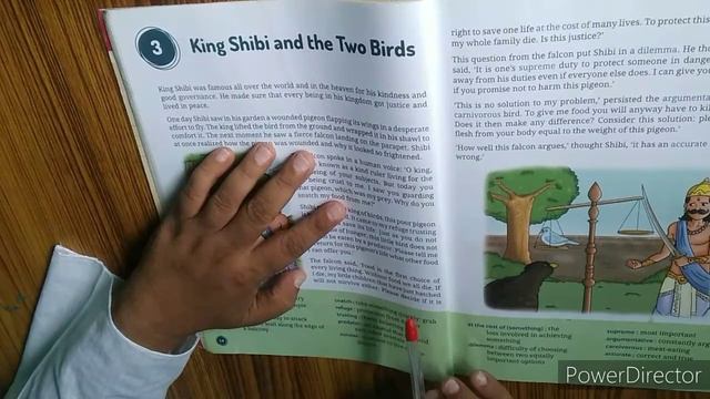 Class 4 English language Lesson 3 ( King Shibi and the Two Birds) Reading смотреть онлайн