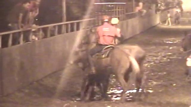 Coneja K Y Tormenta Negra/ I Copa Barinas Corazon LLanero