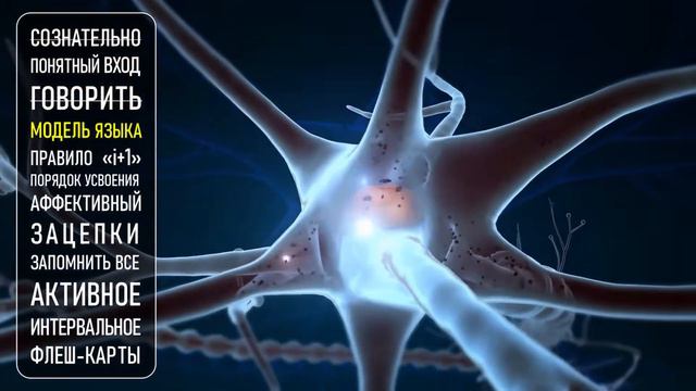 Как Выучить Любой Язык от Дениса Борисова
