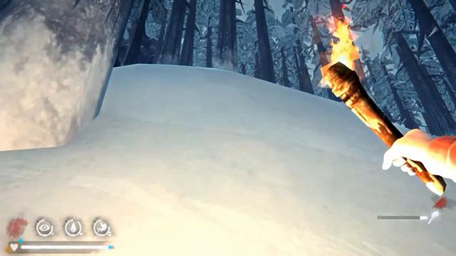 The Long Dark 2020 06 27 14 05 42 06 смотреть онлайн