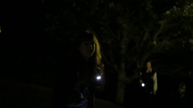 SARDINES | Lovely Little Losers смотреть онлайн