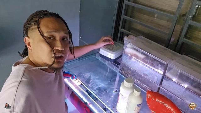 Mahabang Bakasyon - Pano Mga Arowana Ko?