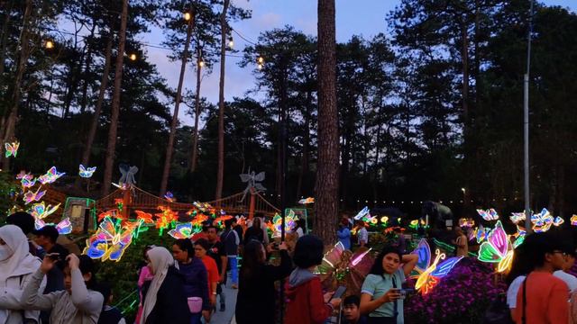 Sobrang Ganda ng Botanical Garden sa Gabi - Baguio City смотреть онлайн