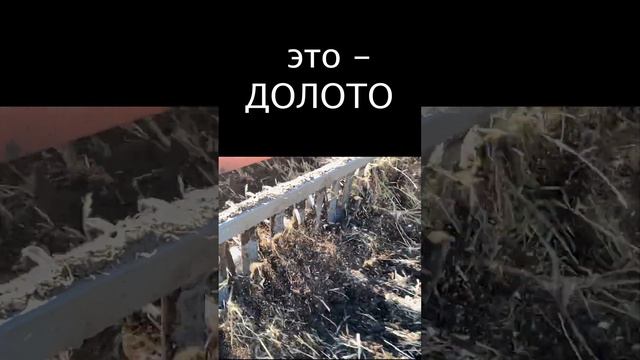 Чизель - что это вообще такое смотреть онлайн