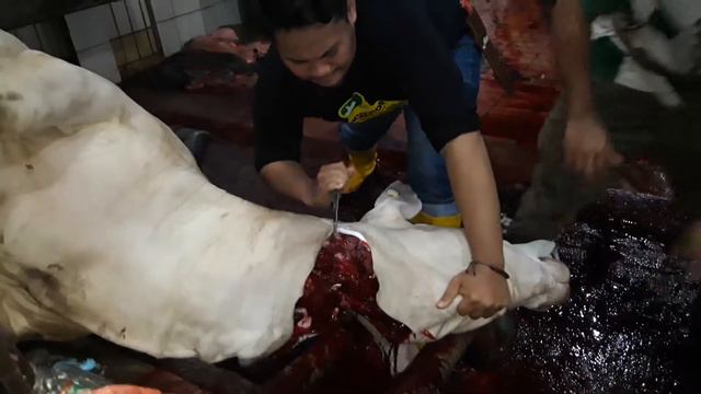 Pisau sembelih. 20-33CM. Baja kelaher смотреть онлайн