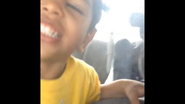 Mi Ernesto tambien quiere que Loma Miranda sea declarada, Parque Nacional" смотреть онлайн