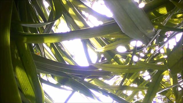 as long as the video смотреть онлайн