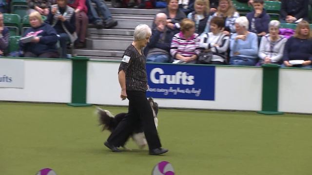 Obedience - Bitch Championship - Part 15 | Crufts 2018