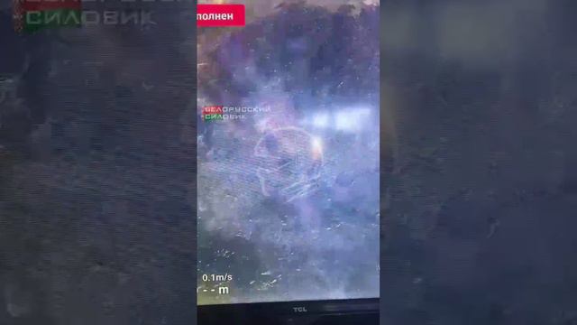 СВО 18+
Морской свин не доплыл. смотреть онлайн