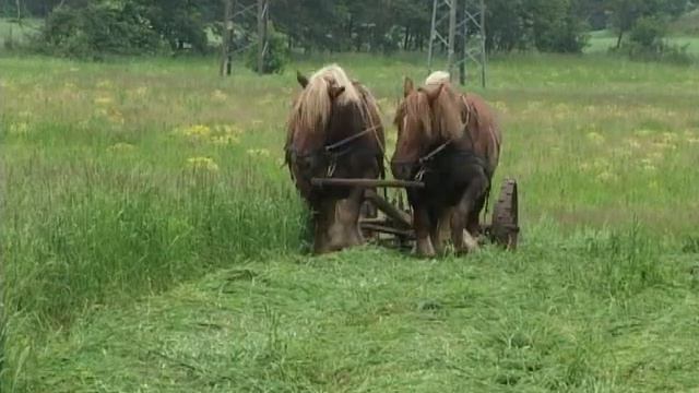 Høslæt på Hjullundgaard смотреть онлайн
